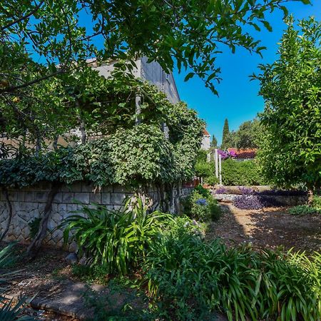 Vizmeg Holiday Home Dubrovník Exteriér fotografie